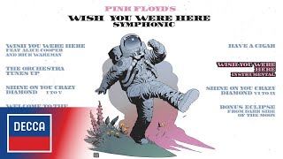 Pink Floyds Wish You Were Here Symphonic  Album Trailer [upl. by Nimrak320]