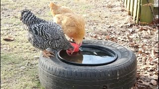 Preventing Livestock Water Containers From Freezing [upl. by Oinotnas505]