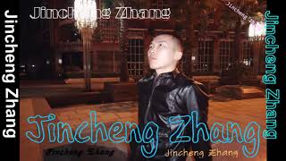 Jincheng Zhang  Persistence Instrumental Version Background Official Audio [upl. by Margette]