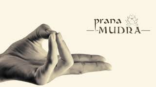 11 Basic Mudras You Need To Know And The Philosophy Behind Them [upl. by Leonidas]