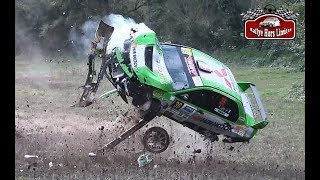 BEST OF RALLY 2019  BIG CRASHES amp MISTAKES [upl. by Eisiam]