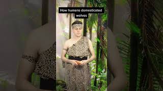 How humans domesticated wolves comedy shorts [upl. by Idisahc]