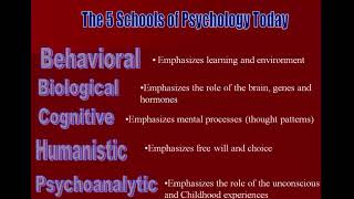 5 schools of psychology 12 minutes [upl. by Mosenthal]