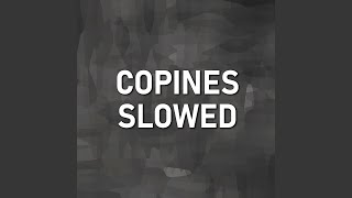 Copines Slowed Remix [upl. by Egroej463]