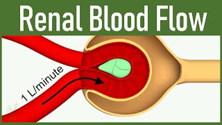 06 Renal Blood Flow [upl. by Appledorf]