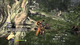 Dragons Dogma Dark Arisen Beginner Guide [upl. by Isyak]