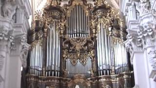 The Largest Cathedral Organ [upl. by Gennaro]