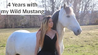 Horse of a Lifetime  4 Years wmy Wild Mustang [upl. by Beera]