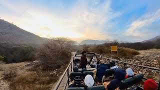 Ranthambore National Park India Travel Highlights December 2023 [upl. by Oniram]