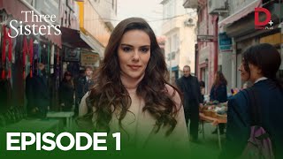 Turkish Drama in Urdu  Three Sisters Episode 1  Üç Kız Kardeş in Hindi  Drama Plus [upl. by Caldeira]