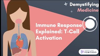 Immune Response Explained TCell Activation [upl. by Tur337]