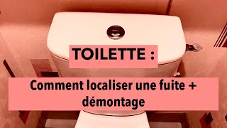 Toilette  Comment localiser une fuite  démontage [upl. by Orten204]