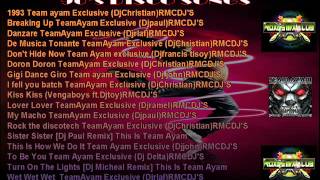 TEAM AYAM VOL6 NONSTOP PROMOTIONAL ROXAS MIX CLUB DJS [upl. by Jade]