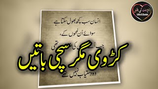 Heart Touching and Amazing Urdu Quotes Collection  Aqwal e Zareen [upl. by Ogren]