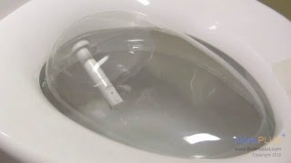 How Does a Bidet Work  bidetsPLUScom [upl. by Notsirk884]