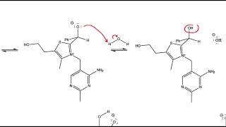 Benzoin Condensation Reaction using Thiamine HCl [upl. by Adlanor802]