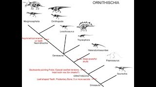 Ornithischia [upl. by Yks]