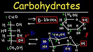 Carbohydrates  Haworth amp Fischer Projections With Chair Conformations [upl. by Justine]