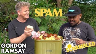 Gordon Ramsay Makes SPAM Scrambled Eggs in Hawaii  Scrambled [upl. by Mackie]