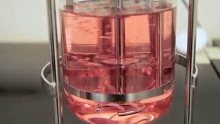 The Impact of Sparging on Cell Culture in Bioreactors – Two Minute Tuesday Video [upl. by Adiarf]