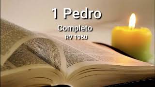 1 PEDRO Completo Biblia Hablada ReinaValera 1960 [upl. by Godliman]