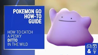 How to Catch Ditto in Pokemon Go  HowTo Guide and Tips [upl. by Romalda]