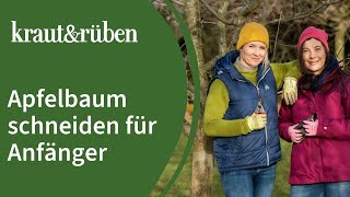 Apfelbaum schneiden 🍎  Apfelbaumschnitt für Anfänger [upl. by Nell]