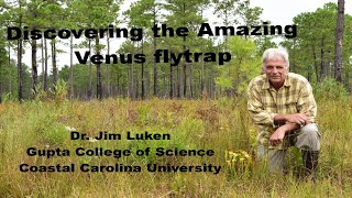 Discovering the Amazing Venus Flytrap [upl. by Gaylord]