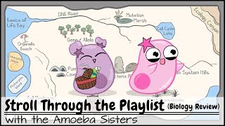 Stroll Through the Playlist a Biology Review [upl. by Joash]