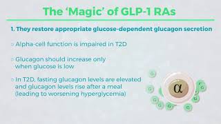 Mechanism of Action for GLP 1 RAs quotThe Howquot [upl. by Akcirret]