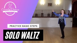 Waltz Basic for Solo Practice [upl. by Steinman]