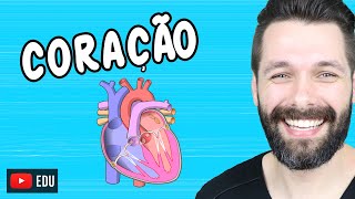 ANATOMIA DO CORAÇÃO  Fisiologia Cardíaca  Biologia com Samuel Cunha [upl. by Ajad]