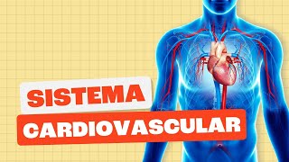 Sistema Cardiovascular  Toda Matéria [upl. by Calie]