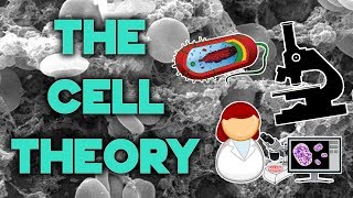 The Cell Theory  Complete Breakdown in 8 Minutes  Bio 101  STEMstream [upl. by Finley211]