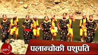 New Lok Dohori Song  Palanchoki Pashupati  Navaraj Ghorasaini and Indira Gurung [upl. by Siugram]