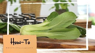 How To Pak Choi zubereiten  MAGGI Kochstudio [upl. by Yenterb]