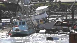 Tsunami destroys Crescent City Harbor 31111 HD [upl. by Adalia]