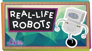 RealLife Robots [upl. by Ssirk]