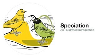 Speciation An Illustrated Introduction [upl. by Alberta]