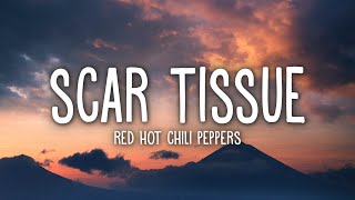 Red Hot Chili Peppers  Scar Tissue Lyrics [upl. by Filbert]