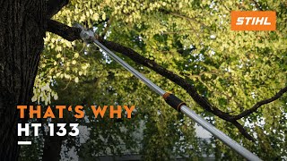 STIHL HT 133 pole pruner  Light weight amp high power  Thats why [upl. by Dorman]