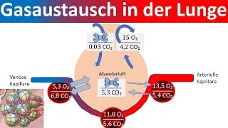 Wie entstand Nationalismus  alpha Lernen erklärt Geschichte [upl. by Yentruocal324]