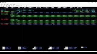 COBOL Zoned Decimal and packed decimal [upl. by Marceau]