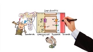 Pharmacology  DIURETICS MADE EASY [upl. by Tterb]