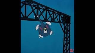 Tom and Jerry Classic Cartoon Moments and Fun [upl. by Sherburn]