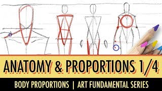 Art Fundamentals Basic Anatomy amp Proportions 14 [upl. by Ody]