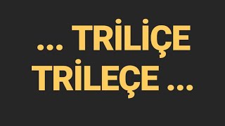 TRİLİÇE Tatlısı nedir TRİLEÇE Tatlısı nedir  triliçe şekerşeme sütlü tatlı trileçe tarifi [upl. by Alleram]