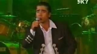 Alejandro Fernandez  Tu solo tu  fallaste corazon [upl. by Cindie]