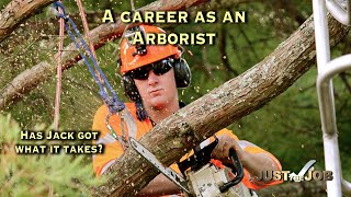 Arborist Careers [upl. by Eduj]