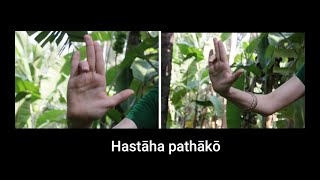 24 basic Mudras in Mohiniyattam with shloka Hastha Lakshana Deepika learn Indian dance easily [upl. by Eenet]